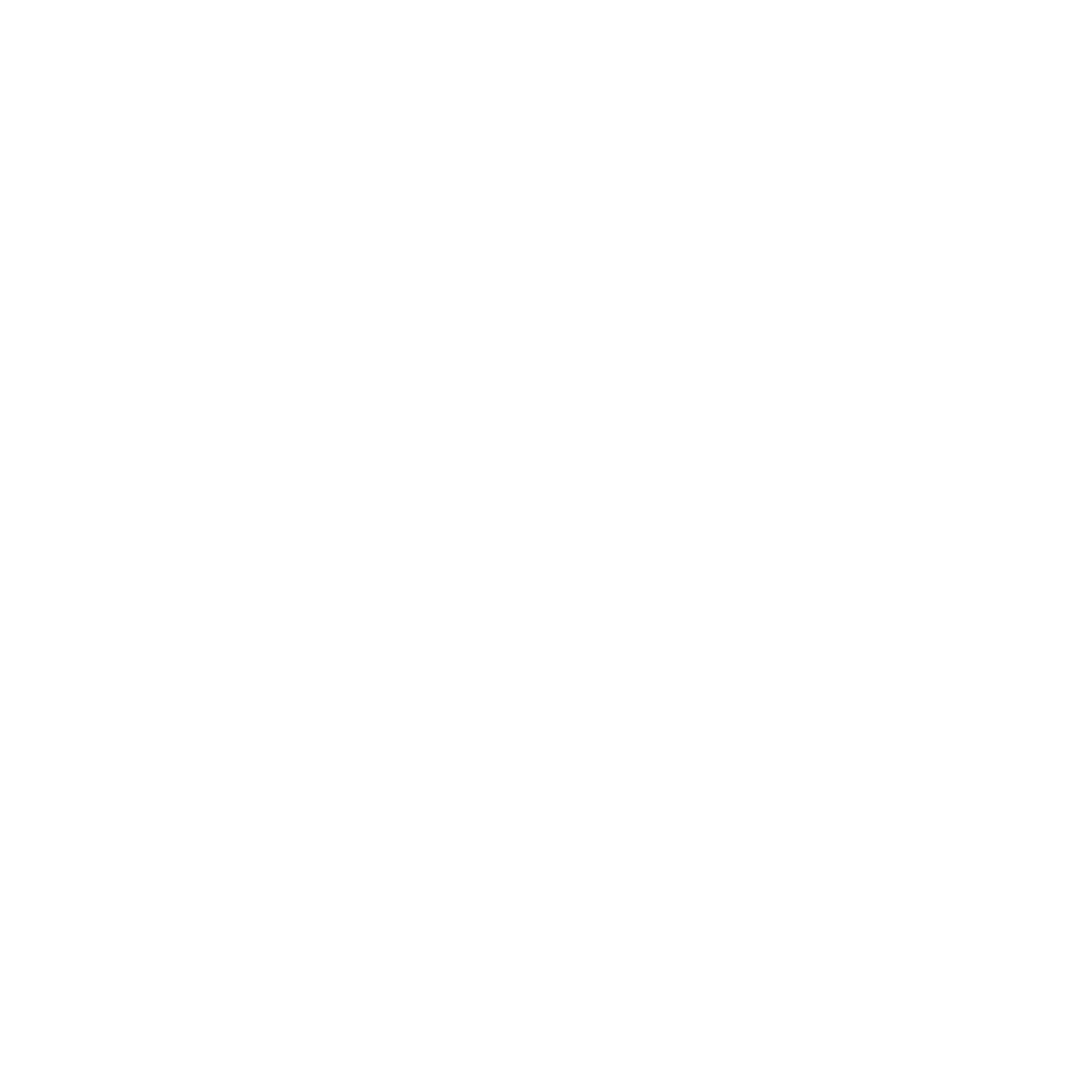 Zazzi.app Logo-2